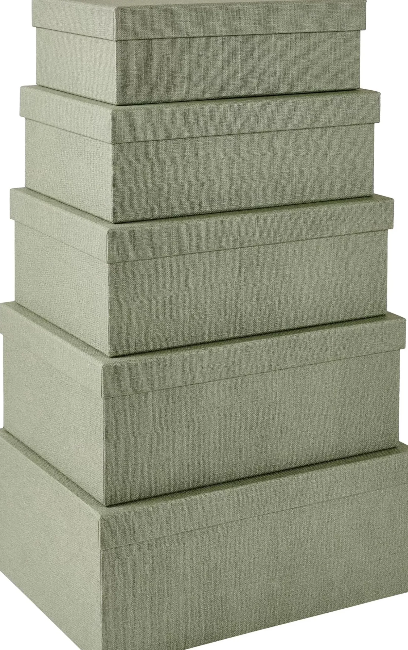 Bigso Caja De Almacenaje L Menta