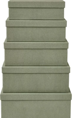 Bigso Caja De Almacenaje Xl Menta