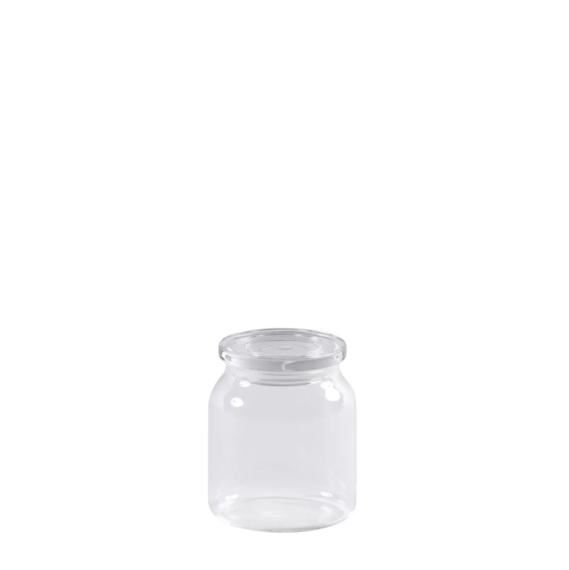 Crystal Tarro De Cocina Con Tapa Transparente