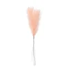 Ecru Plumas Decorativas Marron Claro