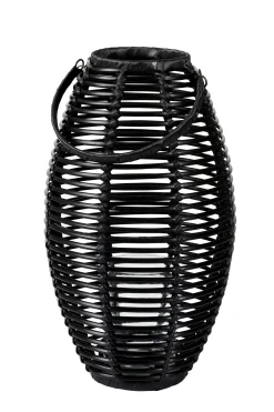 Ellips Farolillo Negro