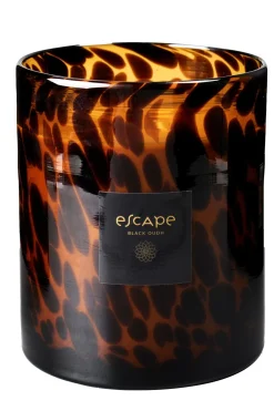 Escape Black Oudh Negro, Marron, Ocre
