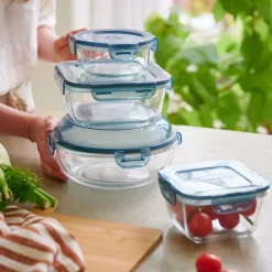 Evolution Fuente Para Horno Con Tapa Gris, Transparente