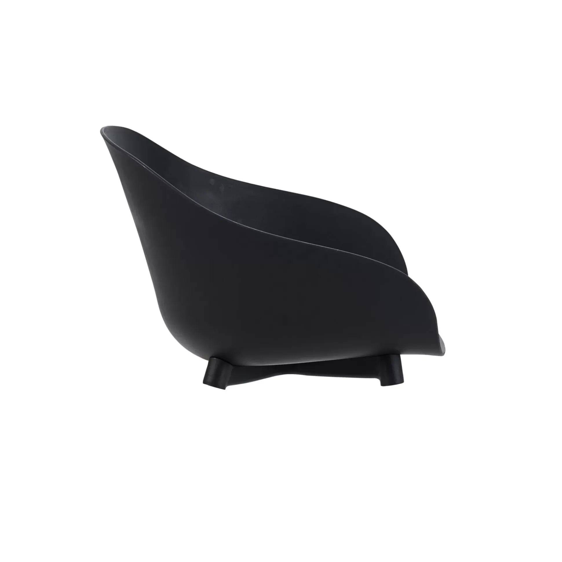 Fray Asiento: Negro