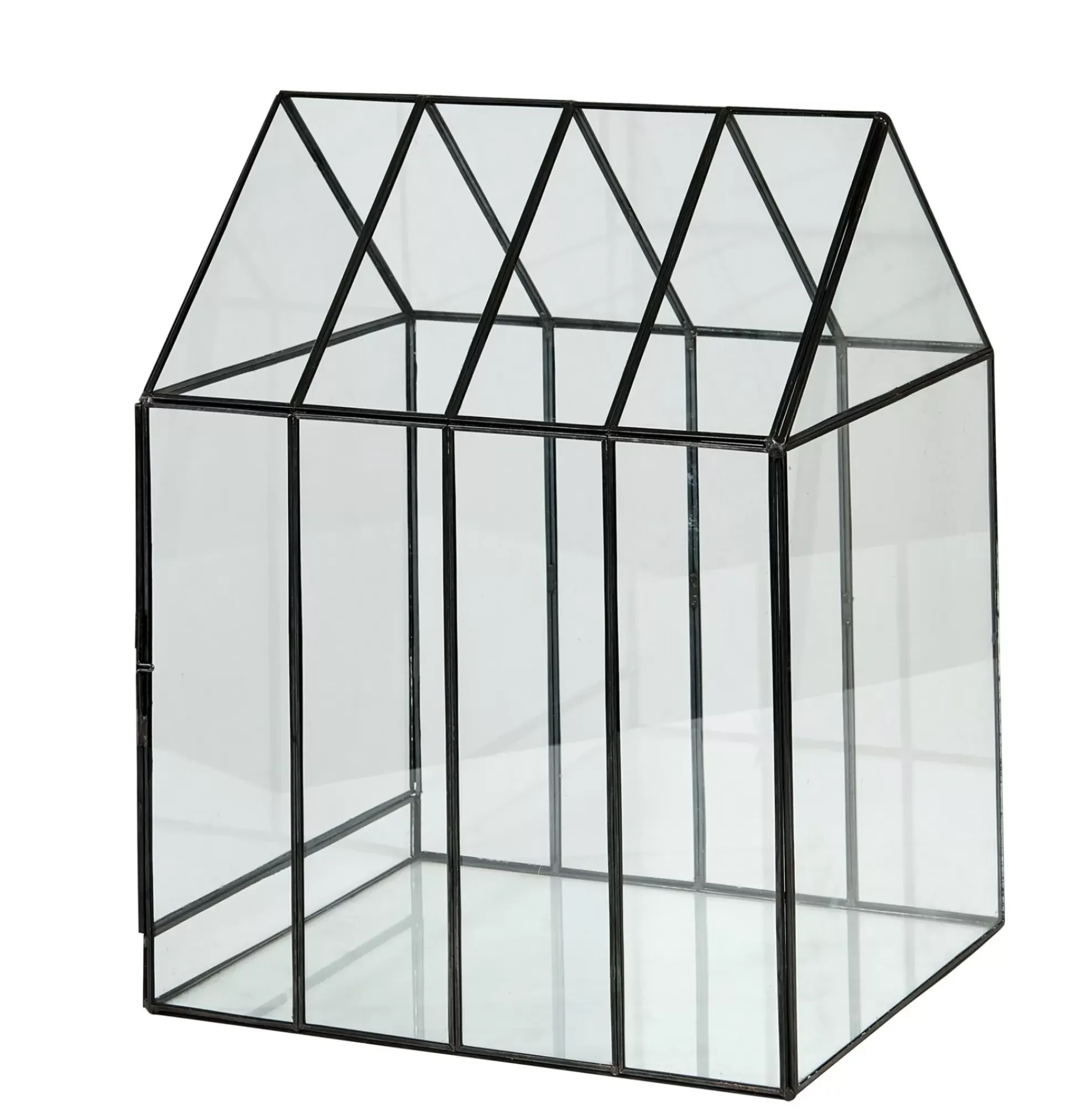 Greenhouse Invernadero Transparente