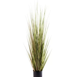 Herba Hierba En Maceta A120Cm Verde