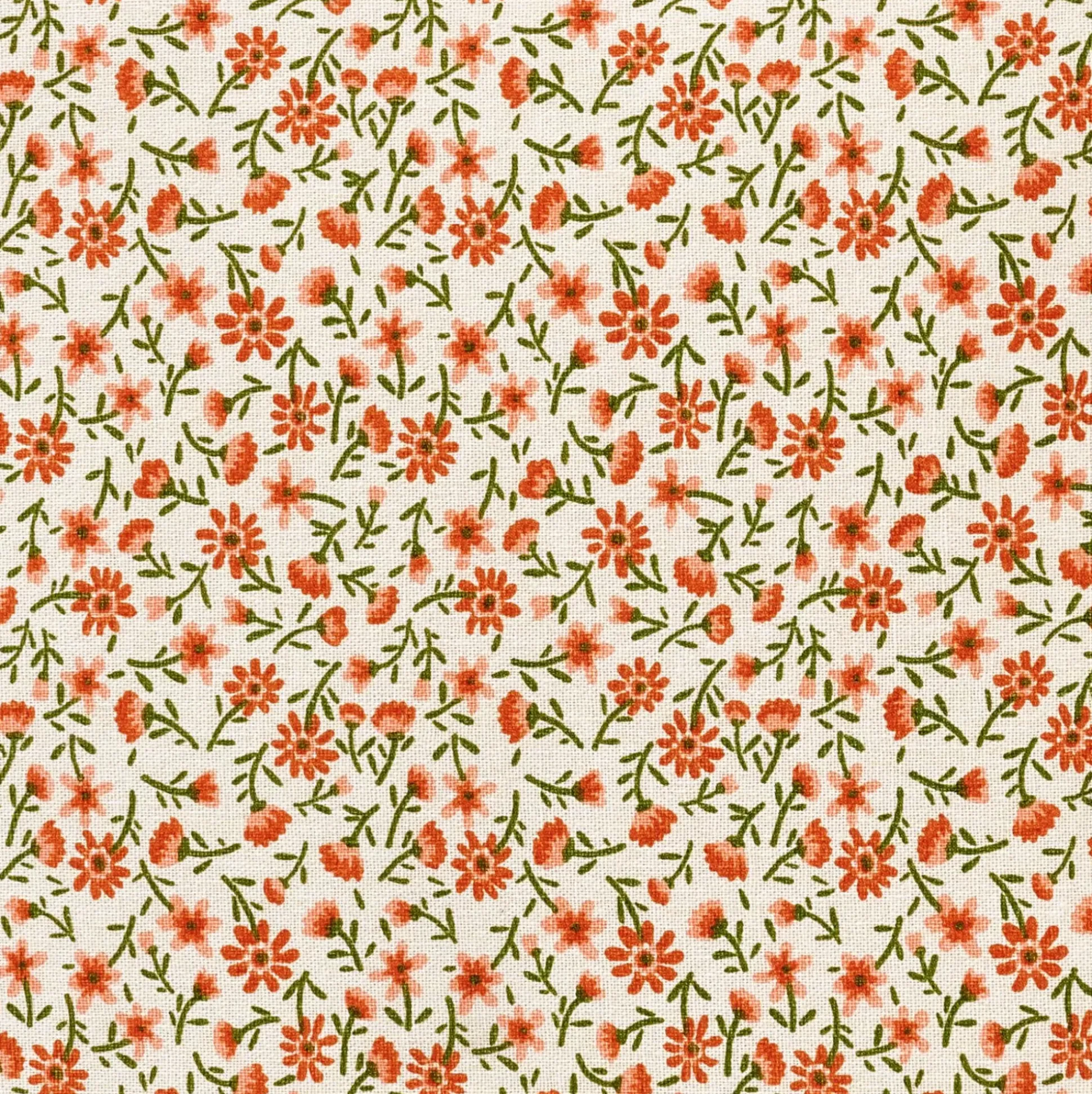 Irma Cojin Multicolor
