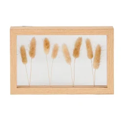 Lagurus Decoracion De Pared Natural