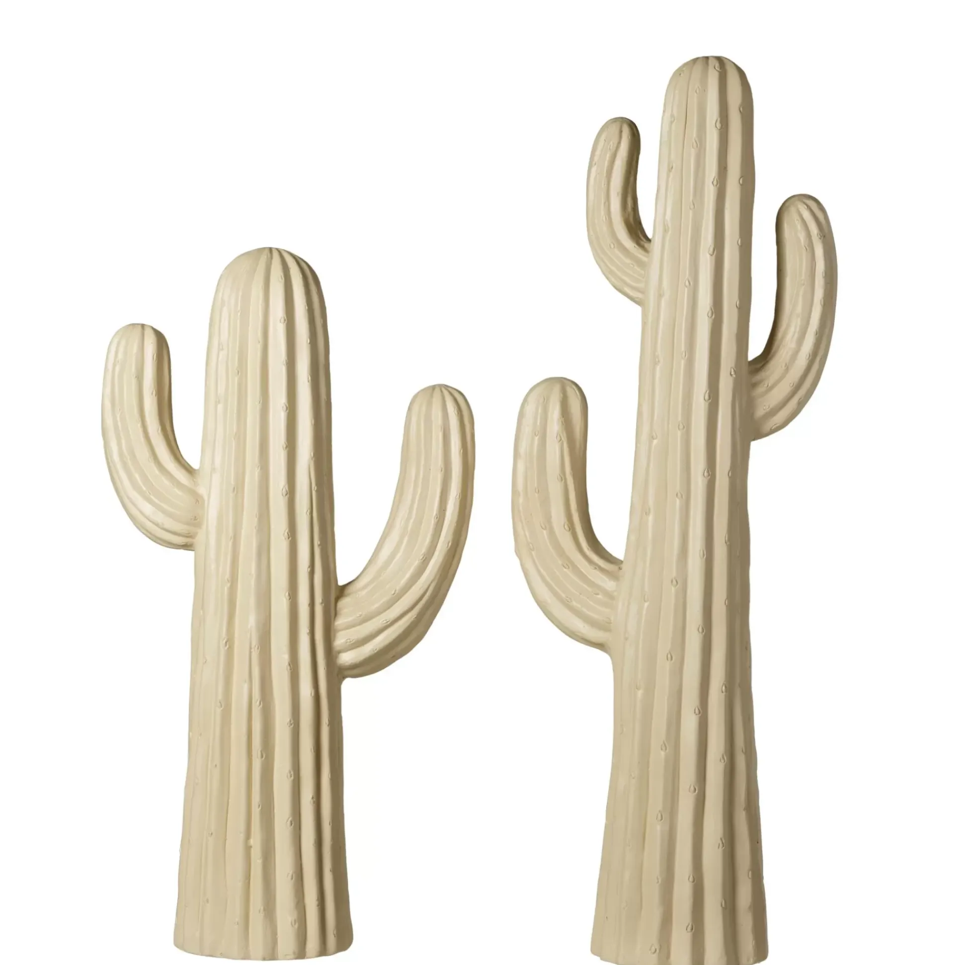 Magnesia Cactus Crema