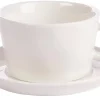 Marea Taza Y Plato Blanco
