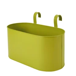 Tanaman Macetero Colgante 3 Colores Verde