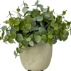 Terra Planta En Maceta Blanco, Verde