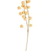 Trifolium Rama De Flores Amarillo