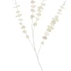 White Rama De Eucalipto Blanco